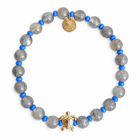 Blue Moon Color Story Bracelet | Labradorite