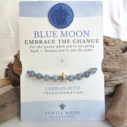 Blue Moon Color Story Bracelet | Labradorite